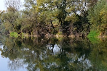 reflection in the river
