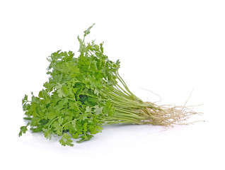 parsley isolated on white background.