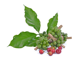 coffee beans unripe on white background.