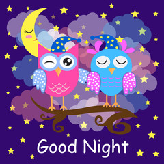 Good night card with a sleeping owls, moon and a clouds. Vector illustration.