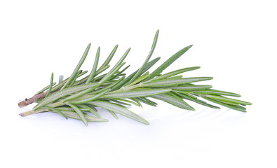 Fototapeta premium rosemary isolated on white background