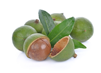 macadamia nuts on white background