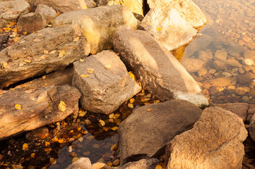 park in japanese style