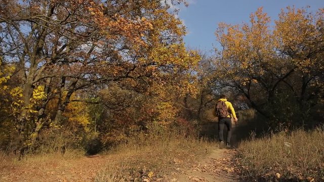 Man in yellow jacket run away in the autumn forest, rear view