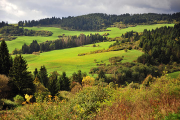 Fototapeta na wymiar View of the green valley in Low Tatras national park