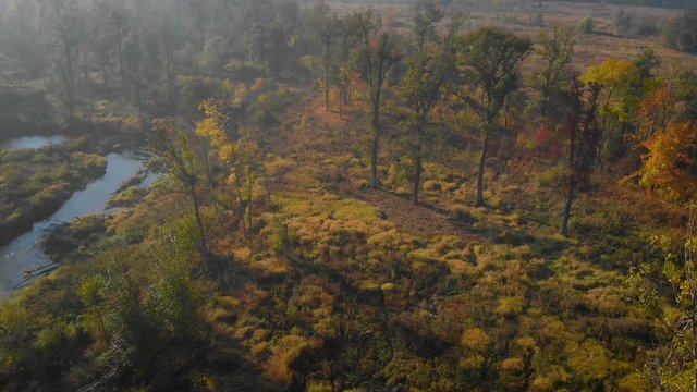 aerial view of a beautiful landscape with some trees and the meandering river