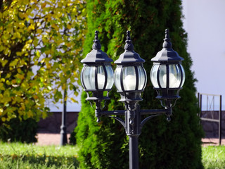 Lantern in the Park