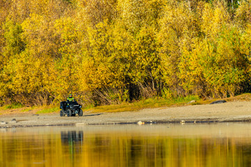 Obraz na płótnie Canvas Quad bike riding along the sandy bank of the river next to the forest