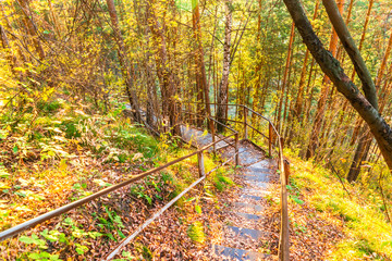 Steel rusty staircase in the autumn forest on a sunny day