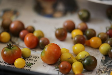 tomates variados de mercadillo