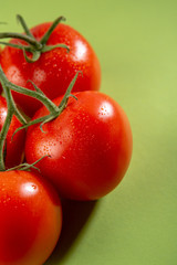 Red tomatoes on branch on green