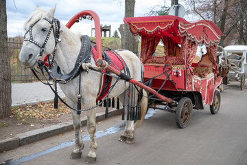 Fototapeta na wymiar horse and carriage