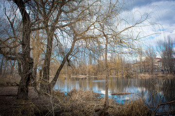 Hospital pond ...