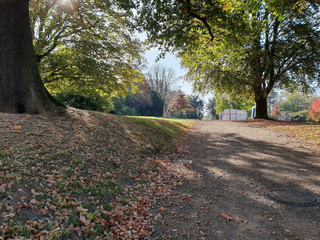 Herbstlaub im Kluse Park in Mülheim an der Ruhr