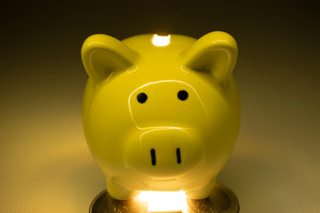 Piggy Bank save money investment