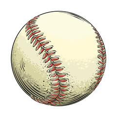 Hand drawn sketch baseball ball in color, isolated on white background. Detailed drawing in the style of vintage. Vector illustration