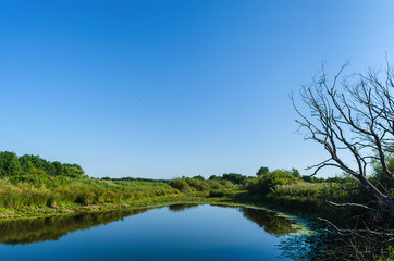 Morning sun enters the deciduous forest surrounded by mist floating over the water. Belarusian Polesie. Pripyat National Park