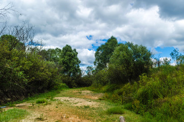 Dry river on drought parched ground. Ecological catastrophy. Belarusian Polesie. Pripyat