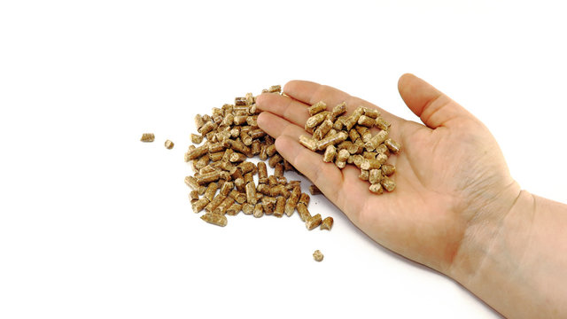 Biocombustible alternativo a partir de aserr&iacute;n, pellets de madera en la mano.. Combustible para estufas y calderas de calefaccion de biomasa