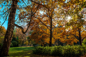 Beautiful autumn colors in the park