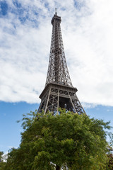 View of the Eiffel Tower in the city of Paris in sunny day with trees in the foreground.
