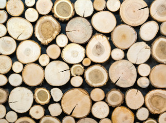 Pile of tree stumps, woods structure