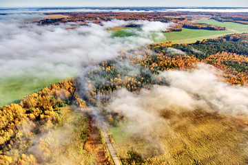 autumn forest with fog and clouds
