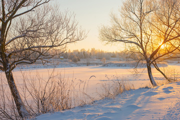 winter morning with snow and frost