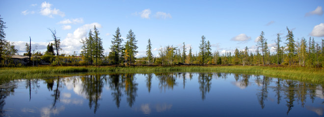 Fototapeta premium Осень/Autumn