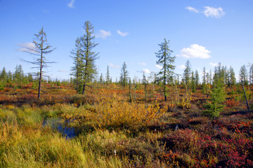 Осень/Autumn