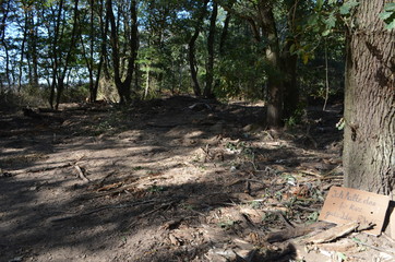 Kampf um den Hambacher Forst