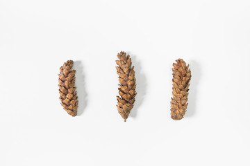 Top view, flat lay. Christmas composition made of cones and rosehip fruits on white background