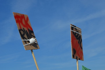 Kampf um den Hambacher Forst