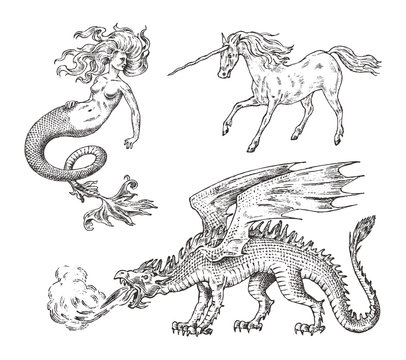 Set of Mythological animals. Mermaid Unicorn Chinese dragon Basilisk Woman. Greek creatures. Engraved hand drawn antique old vintage sketch.