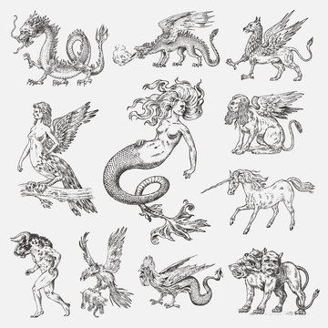 Set of Mythological animals. Mermaid Minotaur Unicorn Chinese dragon Cerberus Harpy Sphinx Griffin Mythical Basilisk Roc Woman Bird. Greek creatures. Engraved hand drawn antique old vintage sketch.