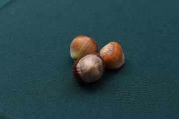 hazelnuts 