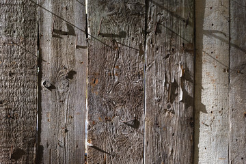 Old wood background. Shabby wooden wall with rusty nails texture