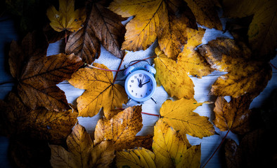 Vintage alarm clock on autumn maple leaves