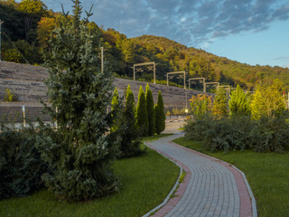 Fototapeta premium Christmas tree and thuja in the park of the hotel Krasnaya Polyana Sochi