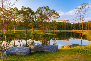 Colorful lake with decorative stones on the shore and young trees at sunrise landscape. Far Eastern Federal University DVFU, Island Russian, Vladivostok, Primorsky region, Russia.