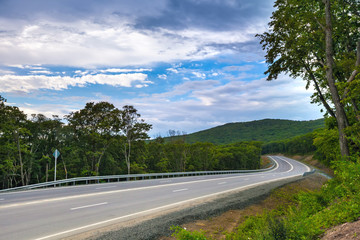 A winding beautiful asphalt road in a dense green bright forest. Above the road hang a colorful sky with high clouds, roadside view. Island Russian, Vladivostok, Primorsky region, Russia.