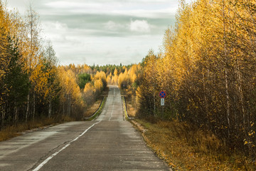 autumn road in the Russian North