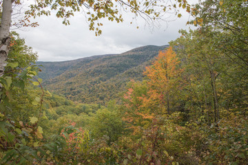 Obraz premium Foliage in Catskill Mountains