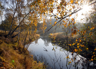 Obraz premium Природа/Nature