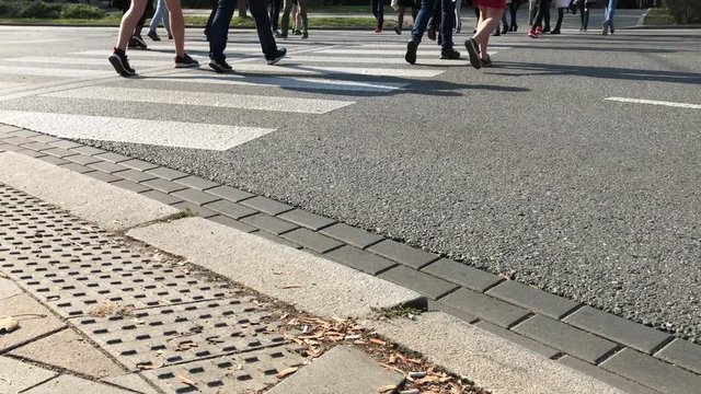 Pedestrian legs cross over road by zebra crossing at peak hour in city. Citizens head to work. People step across road by crosswalk. Crowd on panda crossing in street at busy hour at sunny day