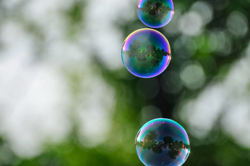 soap bubbles on green background