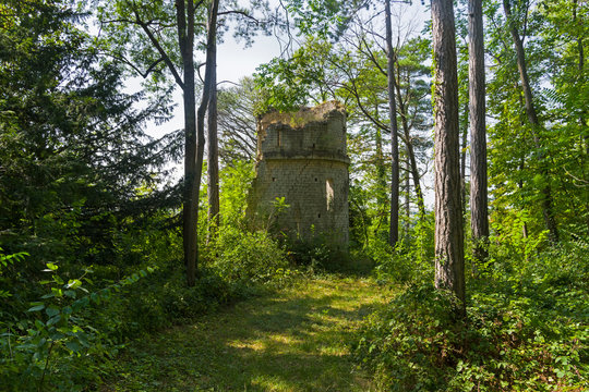 Ruined tower in the forest.