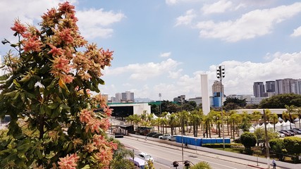 Memorial da América Latina 