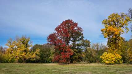 Park im Herbst