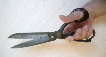 OLD TAILORS clippers-scissors SOLINGEN 13